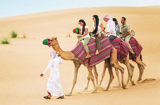 Morning Desert Safari